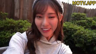 羞答答的玫瑰